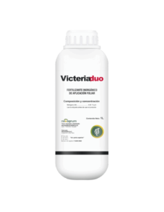 VICTERIA DUO