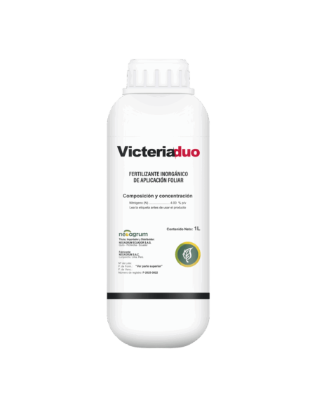 VICTERIA DUO