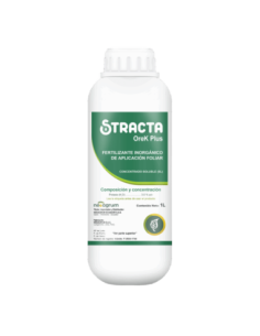 OREK PLUS STRACTA