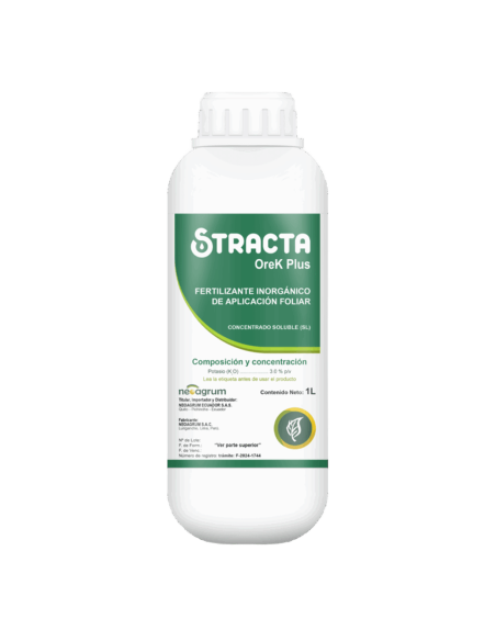 OREK PLUS STRACTA