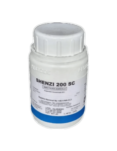 SHENZI