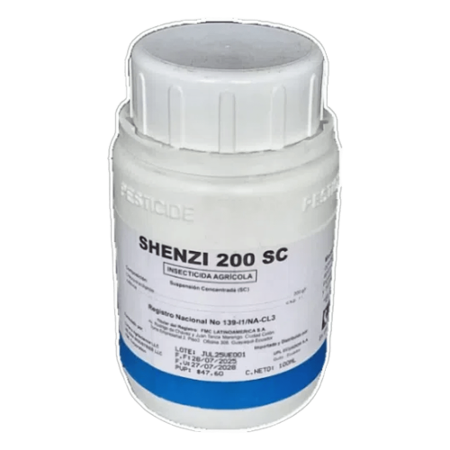 SHENZI