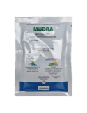 MUDRA