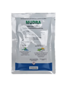 MUDRA