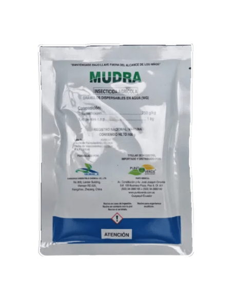 MUDRA