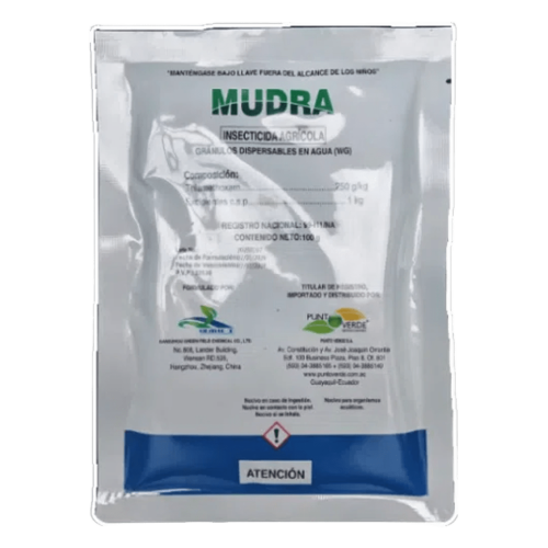 MUDRA