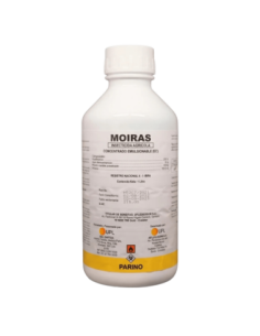 MOIRAS