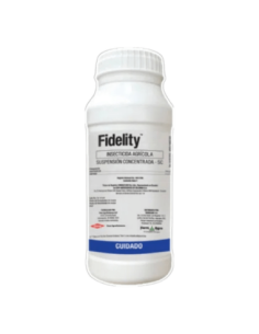 FIDELITY