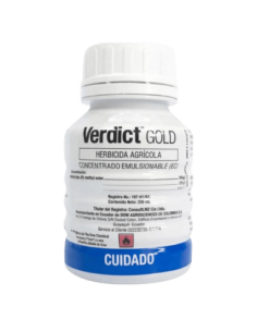 VERDICT GOLD