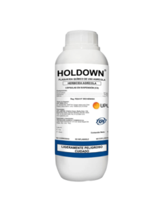 HOLDOWN