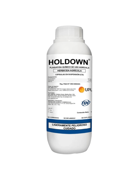 HOLDOWN