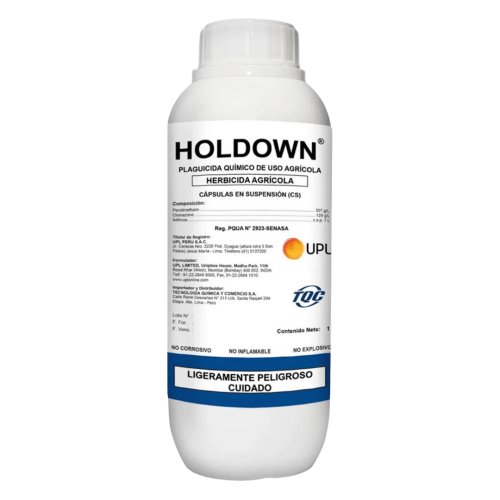 HOLDOWN