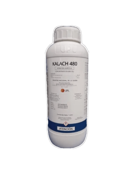 KALACH
