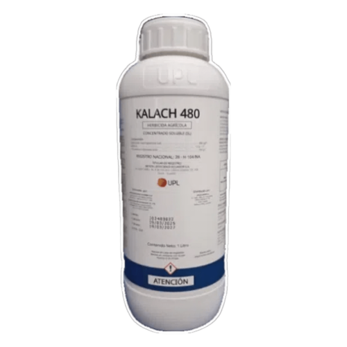 KALACH
