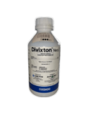 DIVIXTON NEO