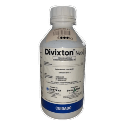 DIVIXTON NEO