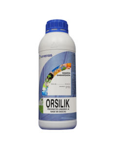 ORSILIK-SILICATO DE POTASIO