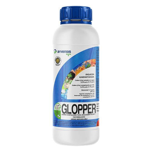 GLOPPER