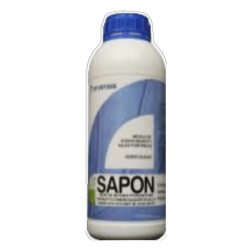 SAPON
