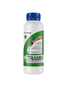 TRIAMIN