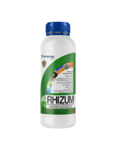 RHIZUM