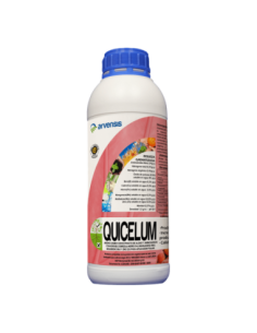 QUICELUM