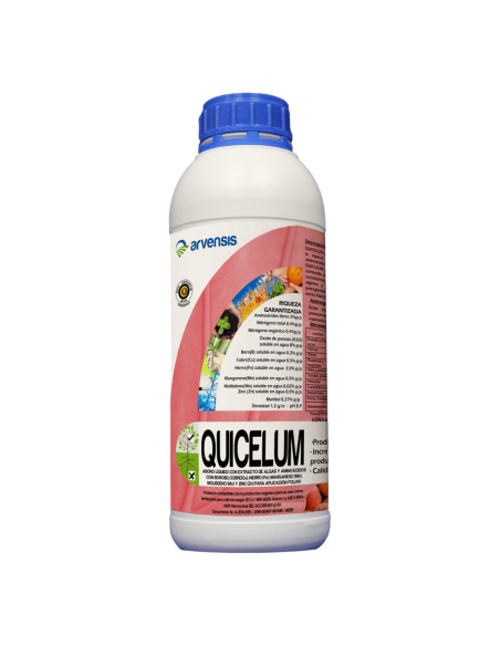 QUICELUM