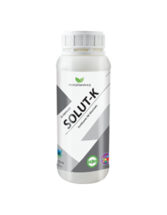 SOLUT-K