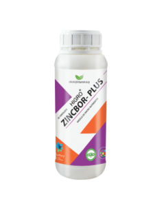 HIGRO ZINCBOR PLUS