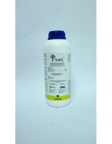 TSAR